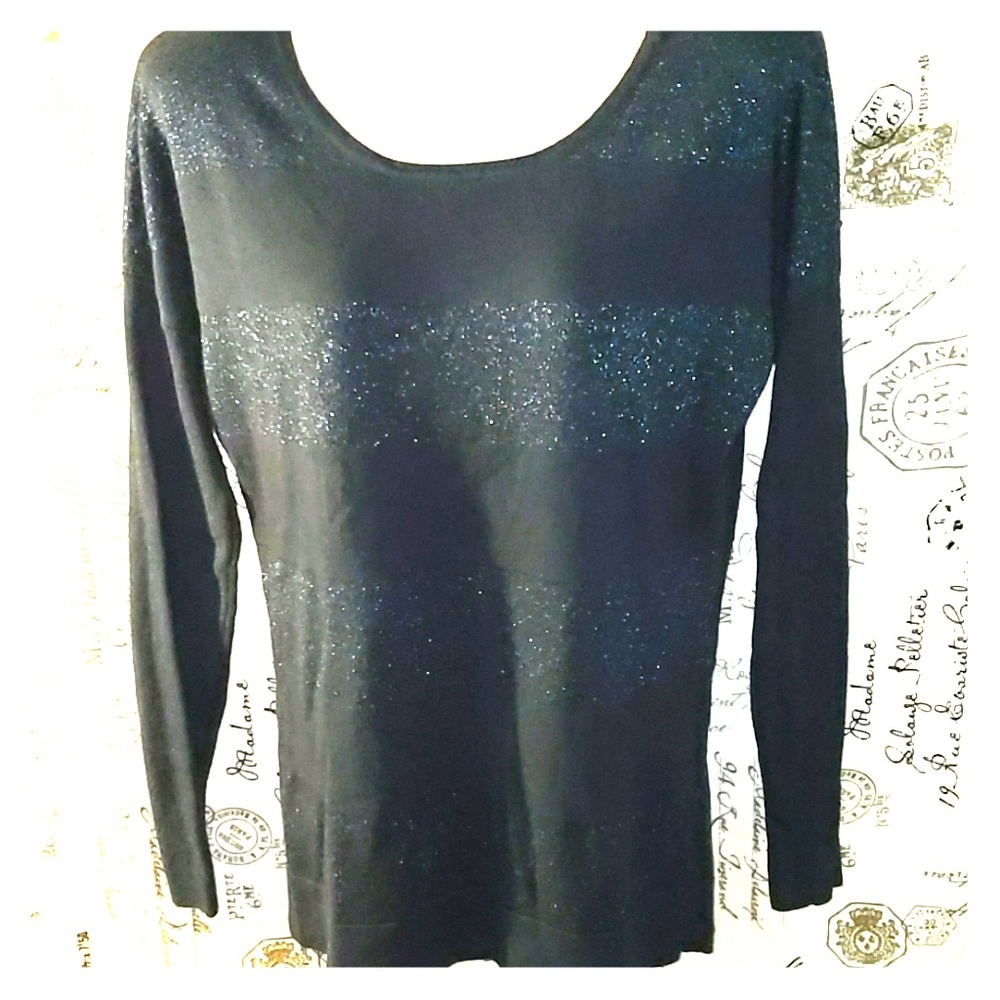 Banana Republic Blue Shimmery Sweater